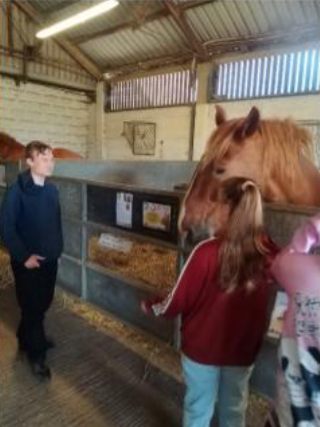 Peile Centre students with horse