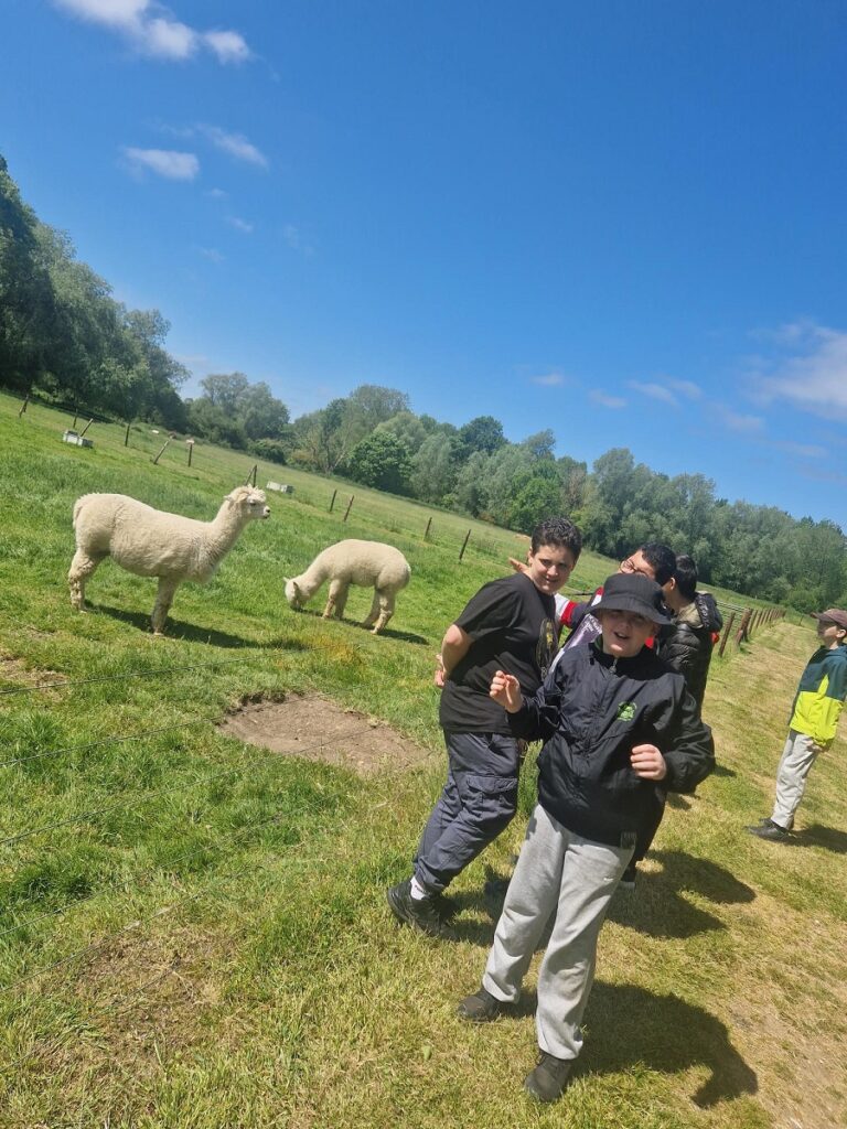 Peile Centre students with animals