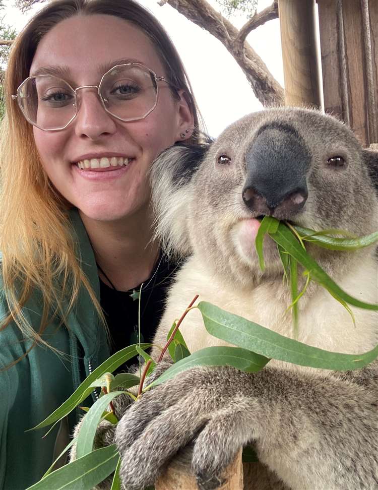 Abi Harrison with a koala eating eucalyptus.