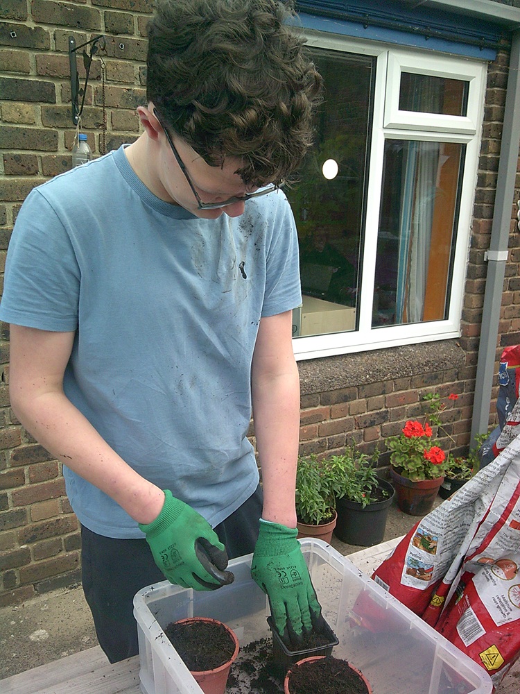 Priory School Sixth Form 4 Gardening